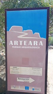 GC-Arteara 2026-54.jpg